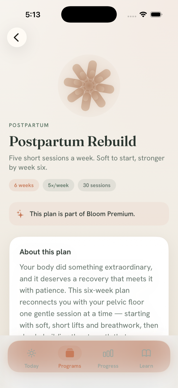 The Postpartum Rebuild program: a gentle six-week plan, five short sessions a week.