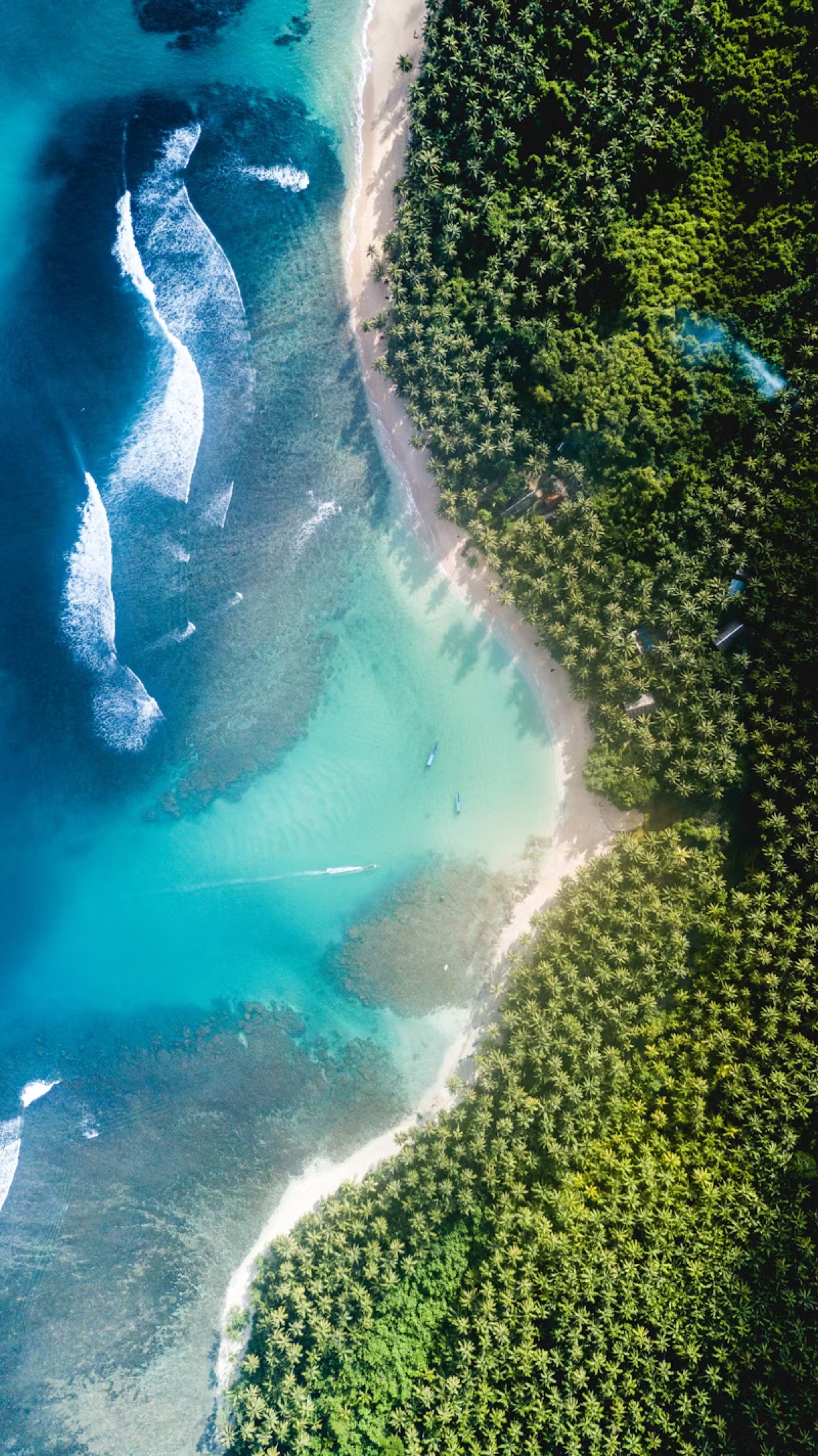 Ocean