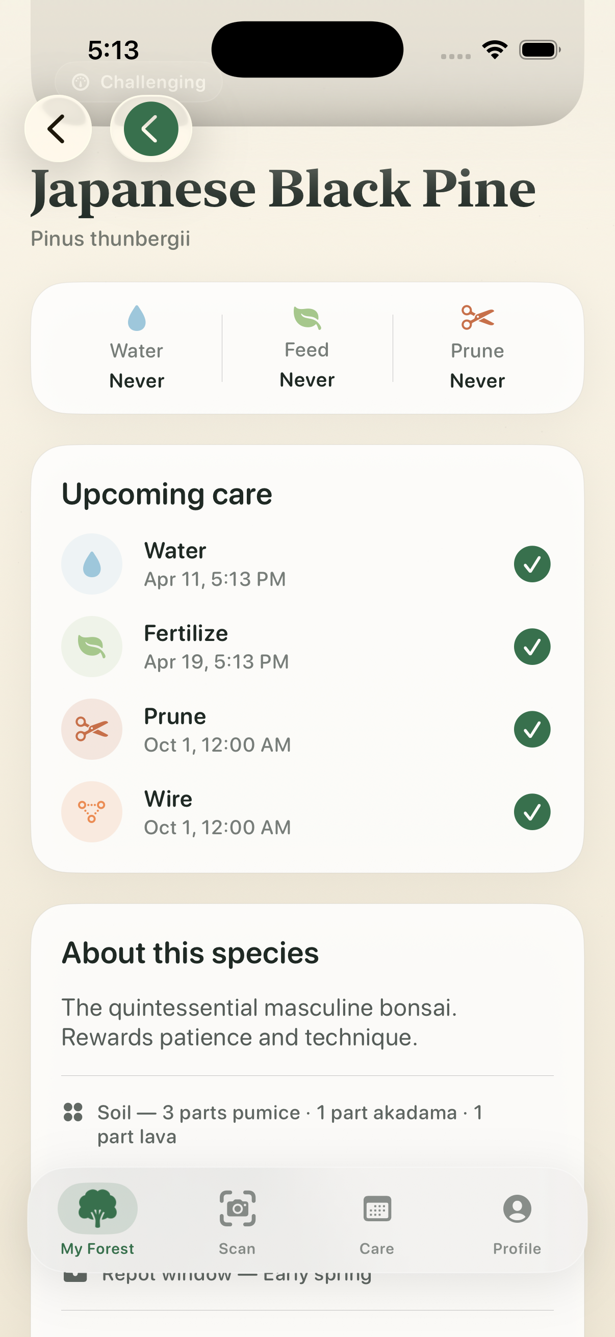 Kodama app — bonsai care dashboard