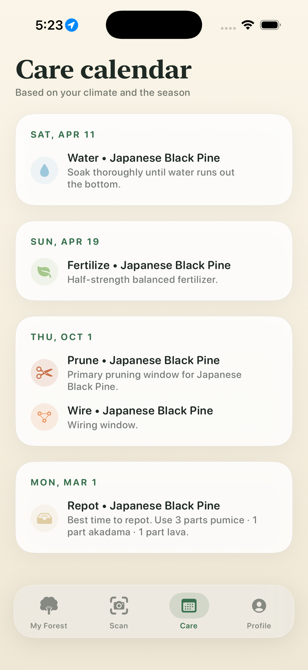 Kodama care schedule screen